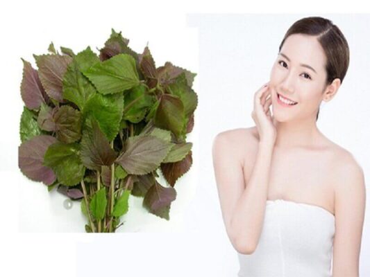 tác dụng của lá tía tô đối với da mặt