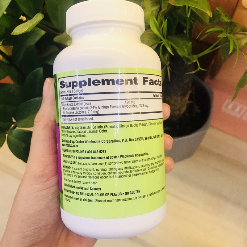 Thành phần viên uống ginkgo Biloba của Mỹ