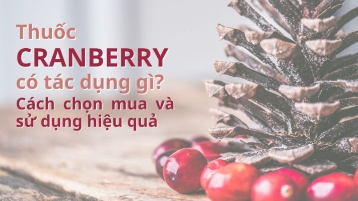 Thuốc Cranberry có tác dụng gì?