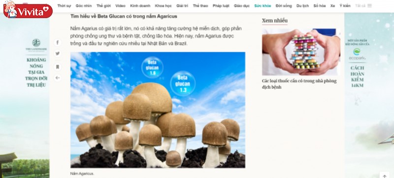 Báo chí nói gì về King Fucoidan & Agaricus
