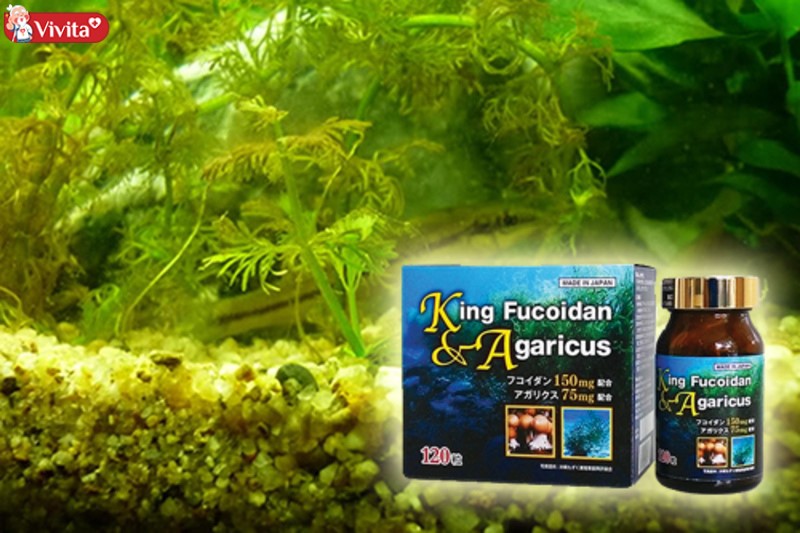 Đối thủ sử dụng chiêu trò với King Fucoidan & Agaricus