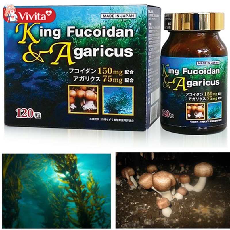 Thành phần của Nguồn gốc của King Fucoidan & Agaricus
