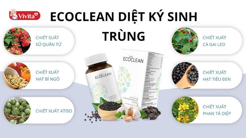 Thành phần Ecoclean
